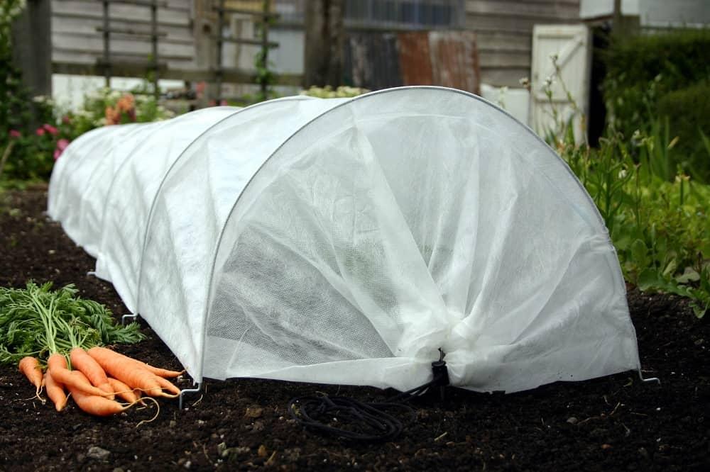uploads/images/_app_uploads_2021_06_vegetable_fleece_growing_tunnel_4_