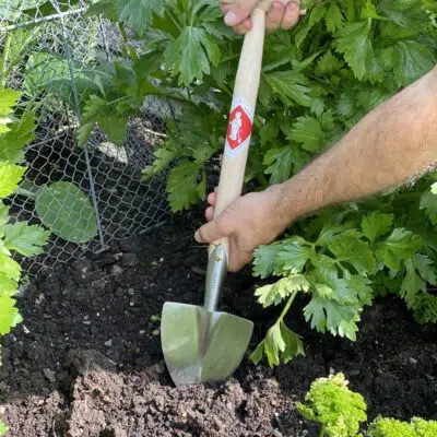 uploads/images/_app_uploads_2023_05_img 1109 400x400.jpg