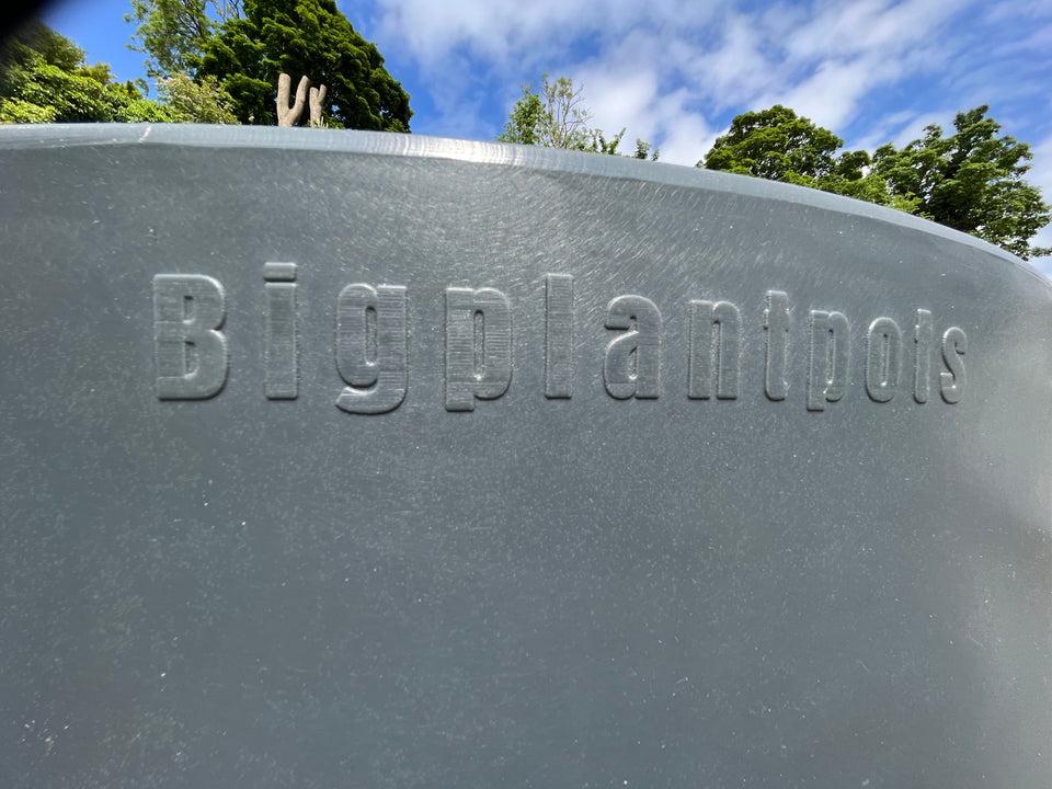 uploads/images/_cdn_shop_files_bigplantpots_logo_480x4802x