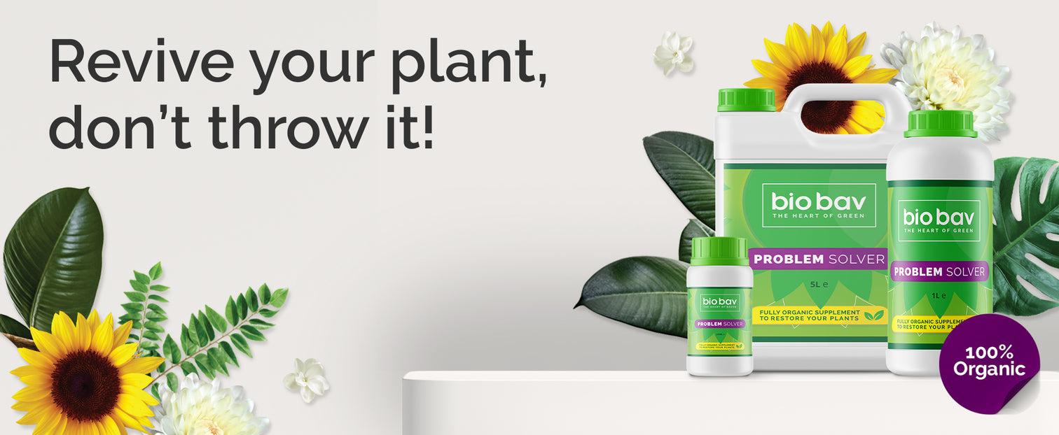 uploads/images/_cdn_shop_files_main_banner_4_5419b0f4 1e0f 45f9 B29f 3cf1b200c519_1512x