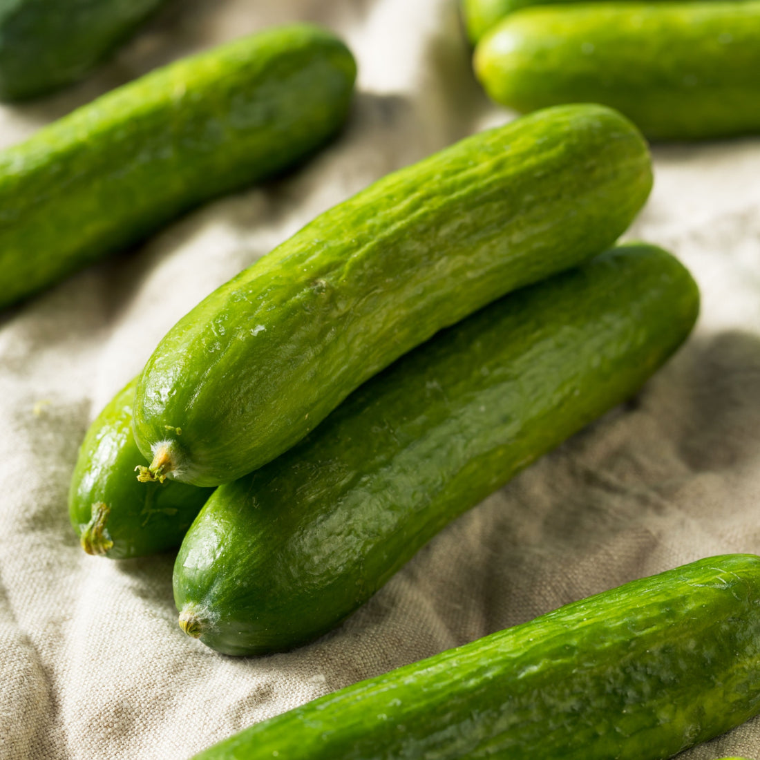 uploads/images/_cdn_shop_files_petita_7_1100x 1