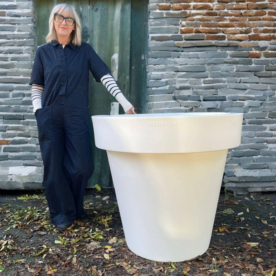 uploads/images/_cdn_shop_files_whitebiggie_1024x10242x