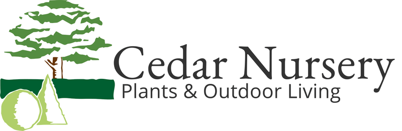 Cedar Nursery Logo