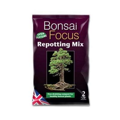 uploads/images/_cdn_shop_products_growth Technology Bonsai Focus_500x_8a25088a F099 4d4c Af64 997165117653_400x