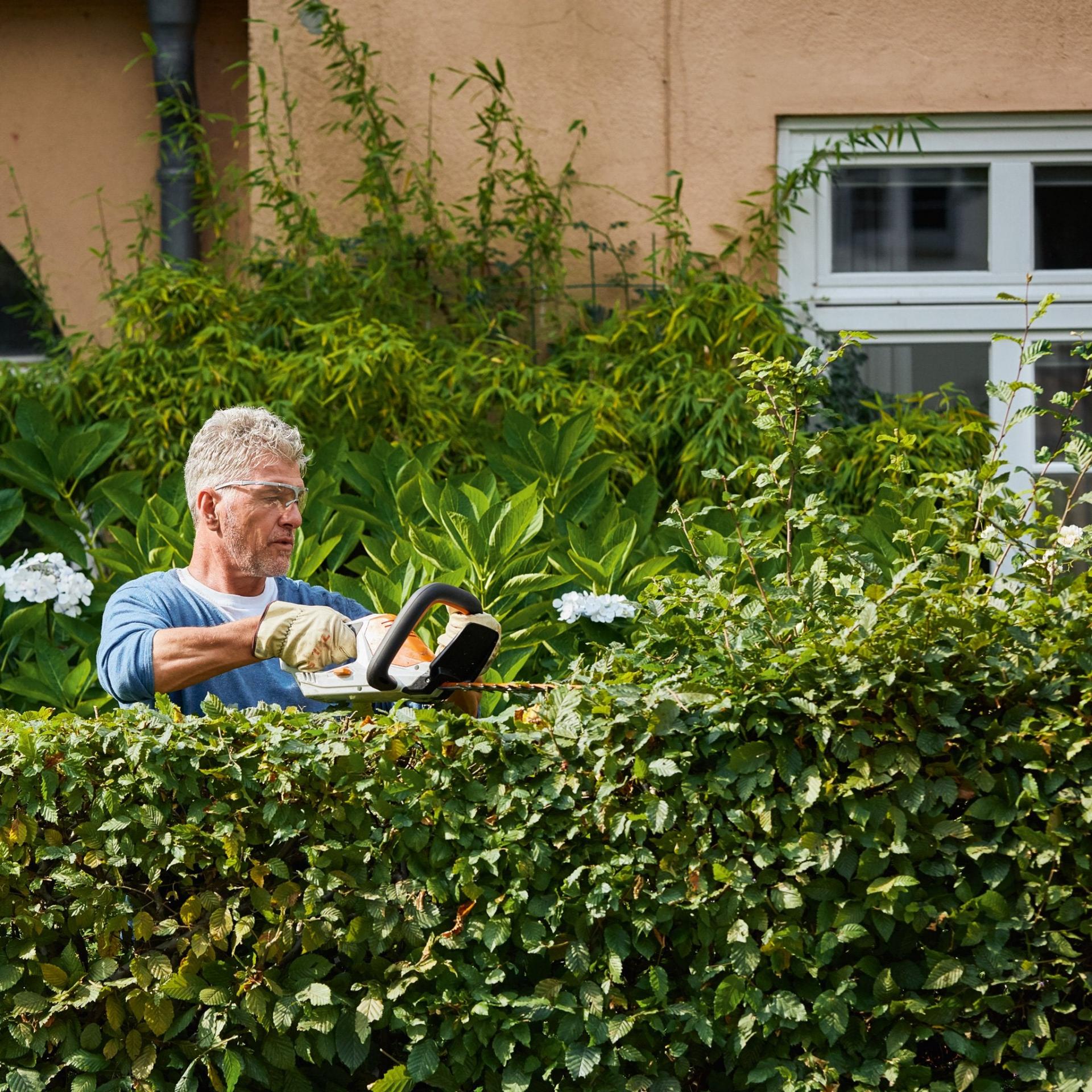 uploads/images/_cdn_shop_products_hsa45_hedge_hot_ce0dfa8b Aa18 4799 Bd0f D2f4fe365ebb_1024x10242x