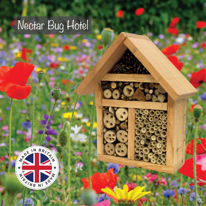 uploads/images/_cdn_shop_products_nectarbughotelimage 01_669x669