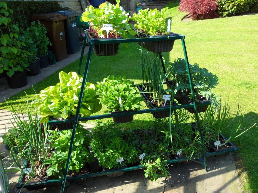 uploads/images/_cdn_shop_products_patio_gro 1024x768