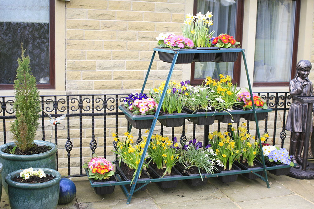 uploads/images/_cdn_shop_products_screen Shot 2016 12 07 At 15.15.07