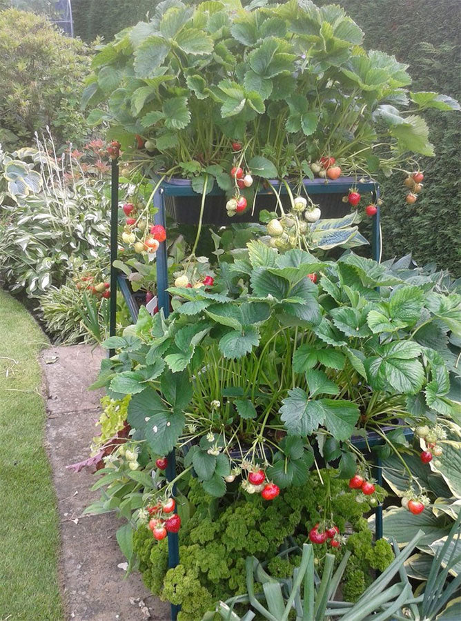 uploads/images/_cdn_shop_products_screen Shot 2016 12 07 At 15.22.51