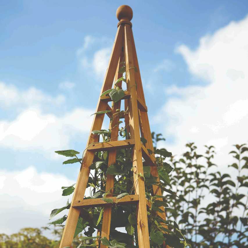 uploads/images/_cdn_shop_products_woodland Obelisk Tan 1.9m In Situ