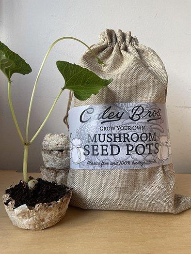 uploads/images/_content_v1_63ce6d55af42bd0d3d2b87ec_1699970003621 Txoyj6zl1kh5lbl2je2v_img_4084sm