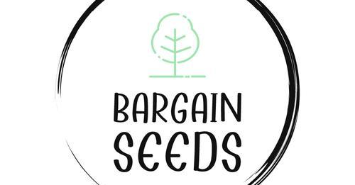 uploads/images/_emg1_v_t13_8778953254271739906