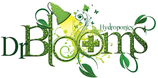 uploads/images/_images_common_doctor Blooms Logo