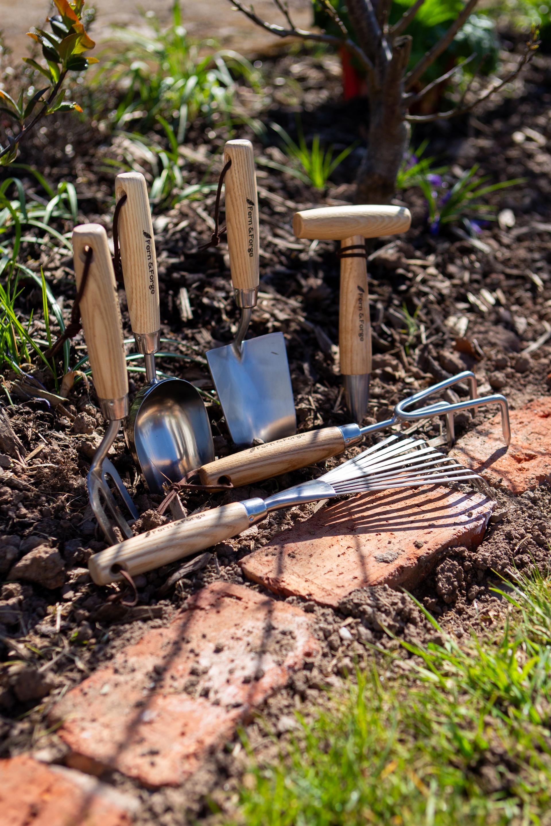 uploads/images/_mg_1604