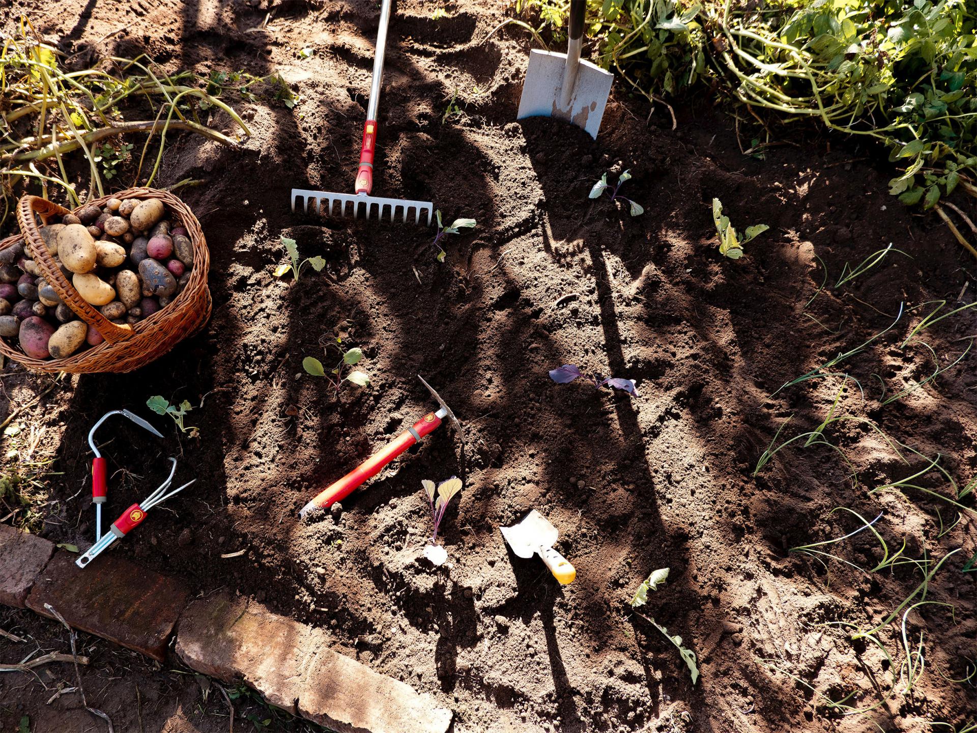 uploads/images/_multi Change Range 2_low