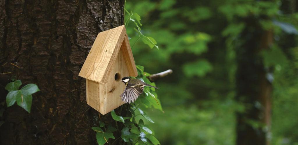 uploads/images/_s_files_1_0630_4874_5181_files_img_5155_2b2e71c7 Bf61 41e4 9ad8 52df797f6312_1024x1024