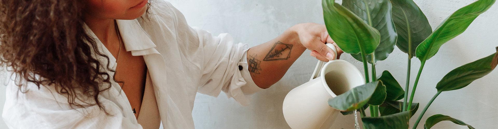 uploads/images/_s_files_1_0634_5995_0834_files_banner_1_2048x2048