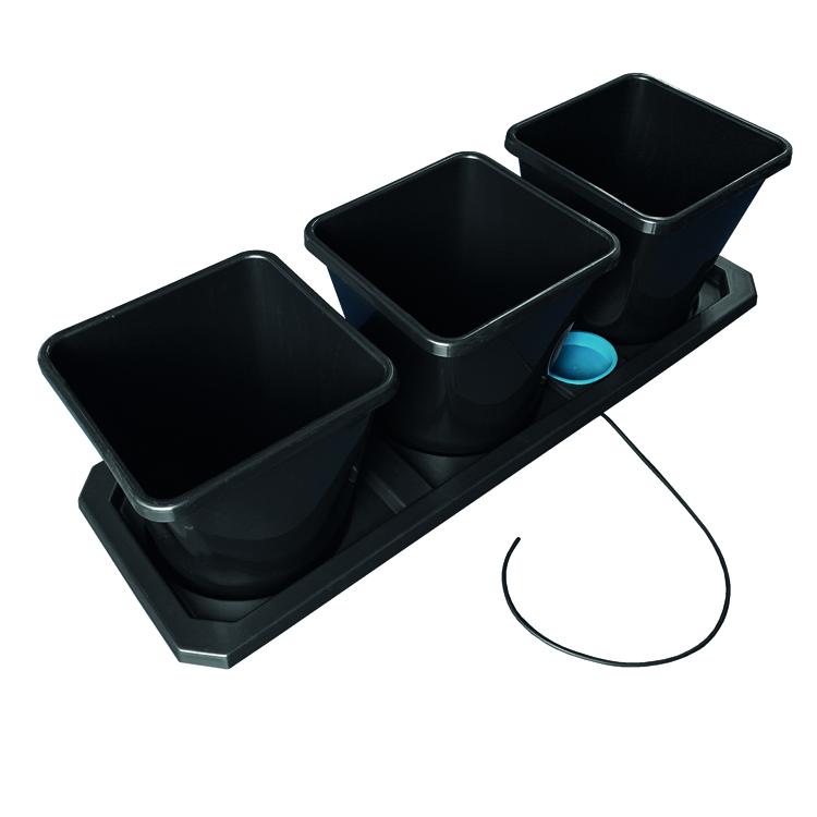 uploads/images/_specialist_wp Content_uploads_sites_3_2020_12_auto3_xl_main_web