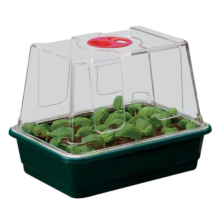 uploads/images/_specialist_wp Content_uploads_sites_3_2023_12_g20_small_high_dome_propagator_web