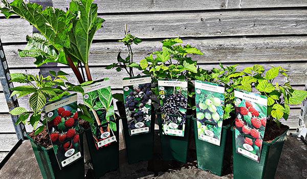 uploads/images/_v_t1.6435 9_192126085_800249287595815_4050133611309998791_n