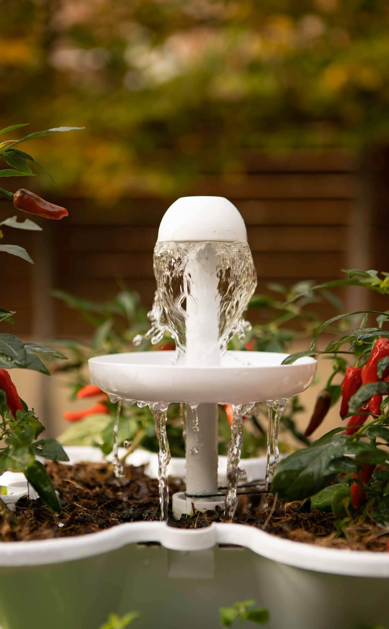 uploads/images/_v_t1.6435 9_86733206_788280228335362_8113047506788548608_n