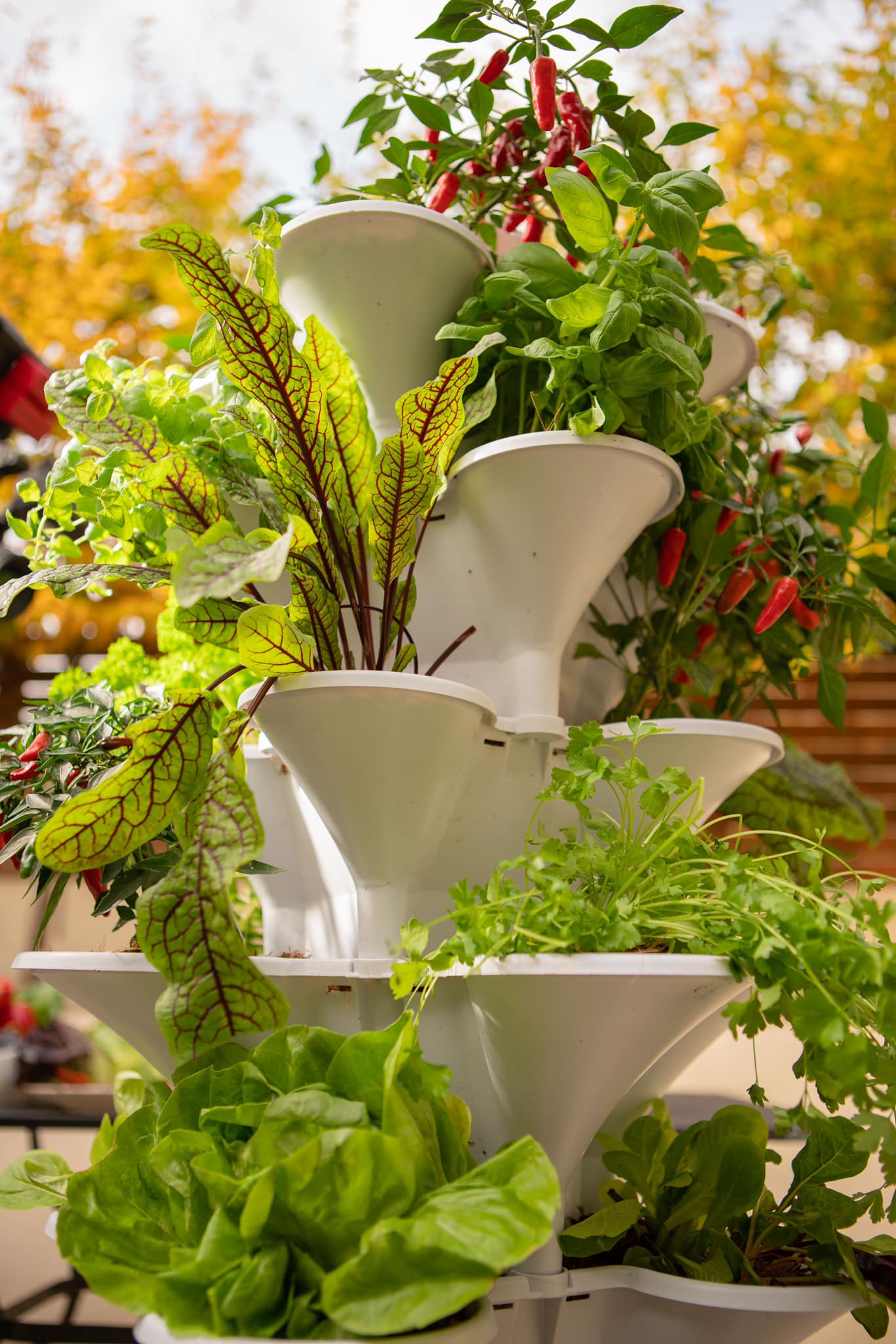 uploads/images/_v_t1.6435 9_87010373_788280351668683_802682576773840896_n