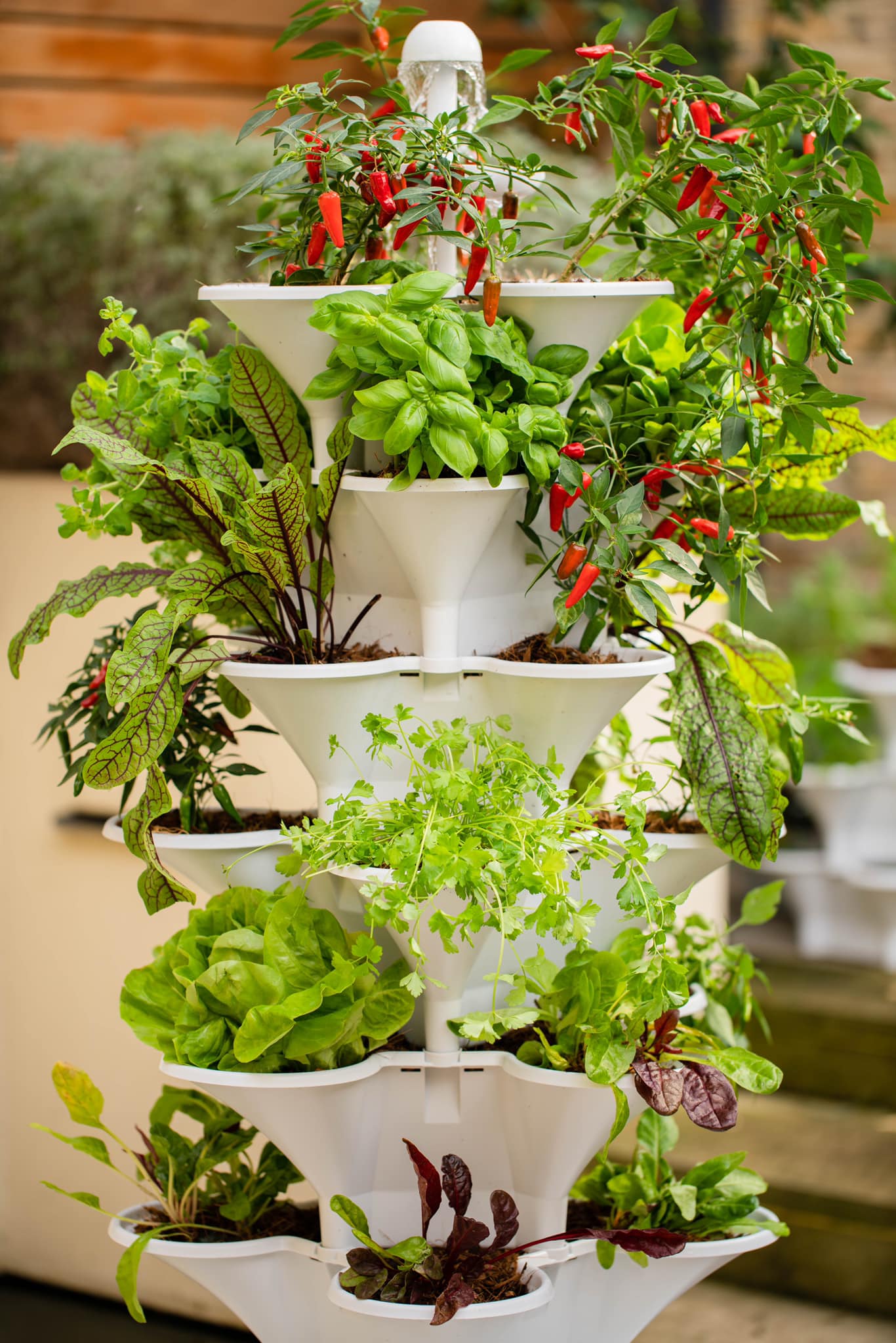 uploads/images/_v_t1.6435 9_87144909_790595348103850_5657149459922944000_n