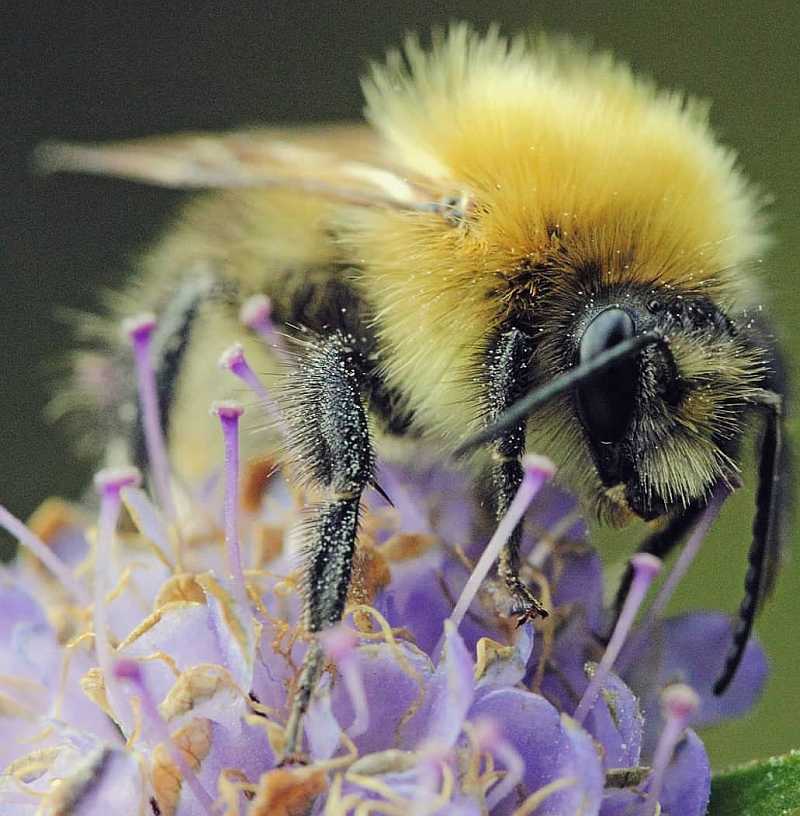 uploads/images/_v_t1.6435 9_88426620_2799206160128427_6603804606088609792_n