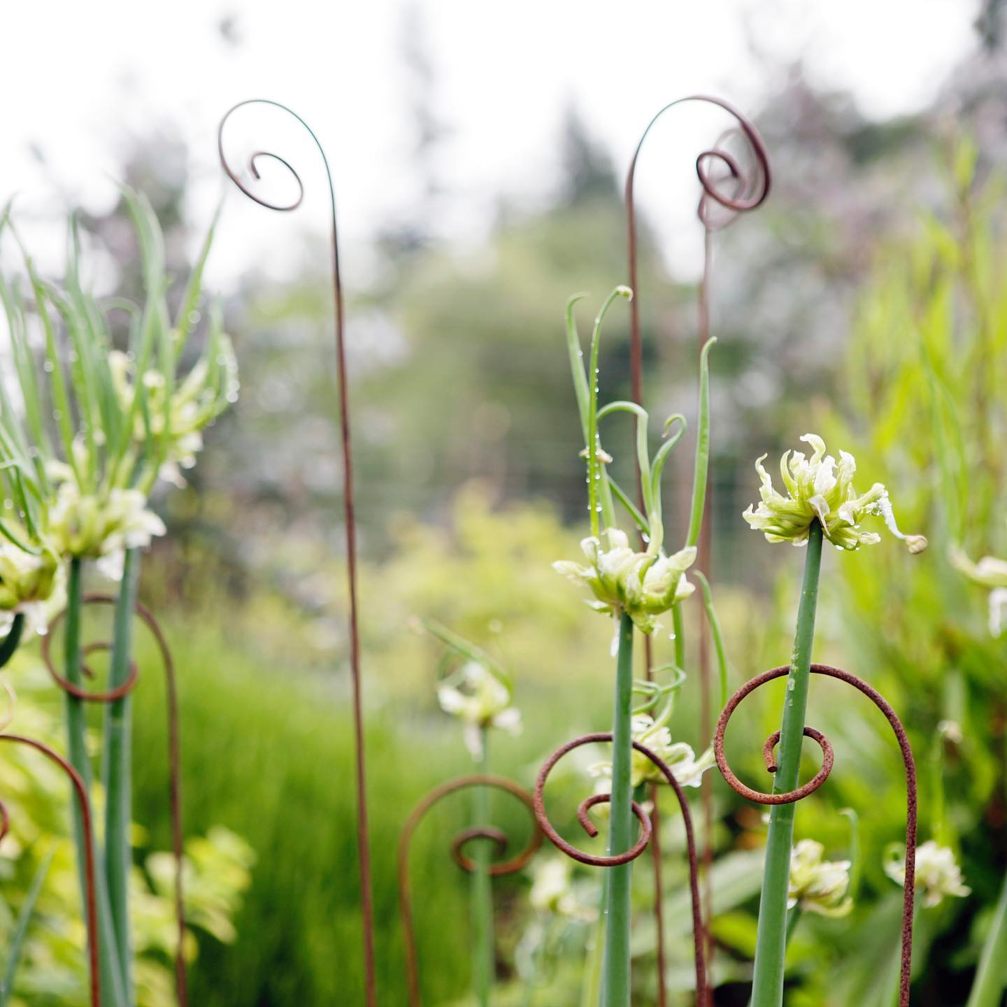 uploads/images/_v_t39.30808 6_277776426_5064195320304640_8068805018136310837_n