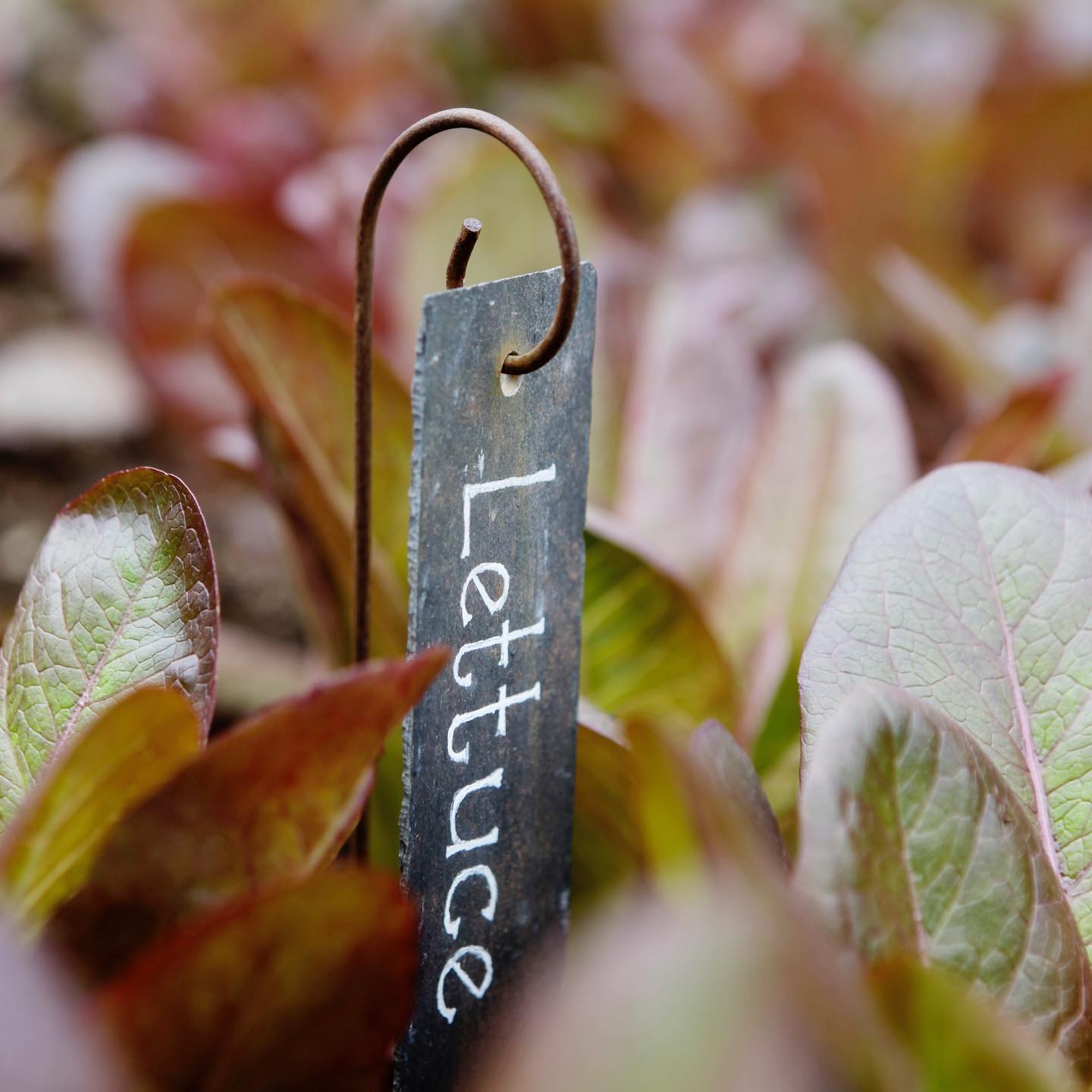 uploads/images/_v_t39.30808 6_282772754_5185973448126826_2383309850079078898_n