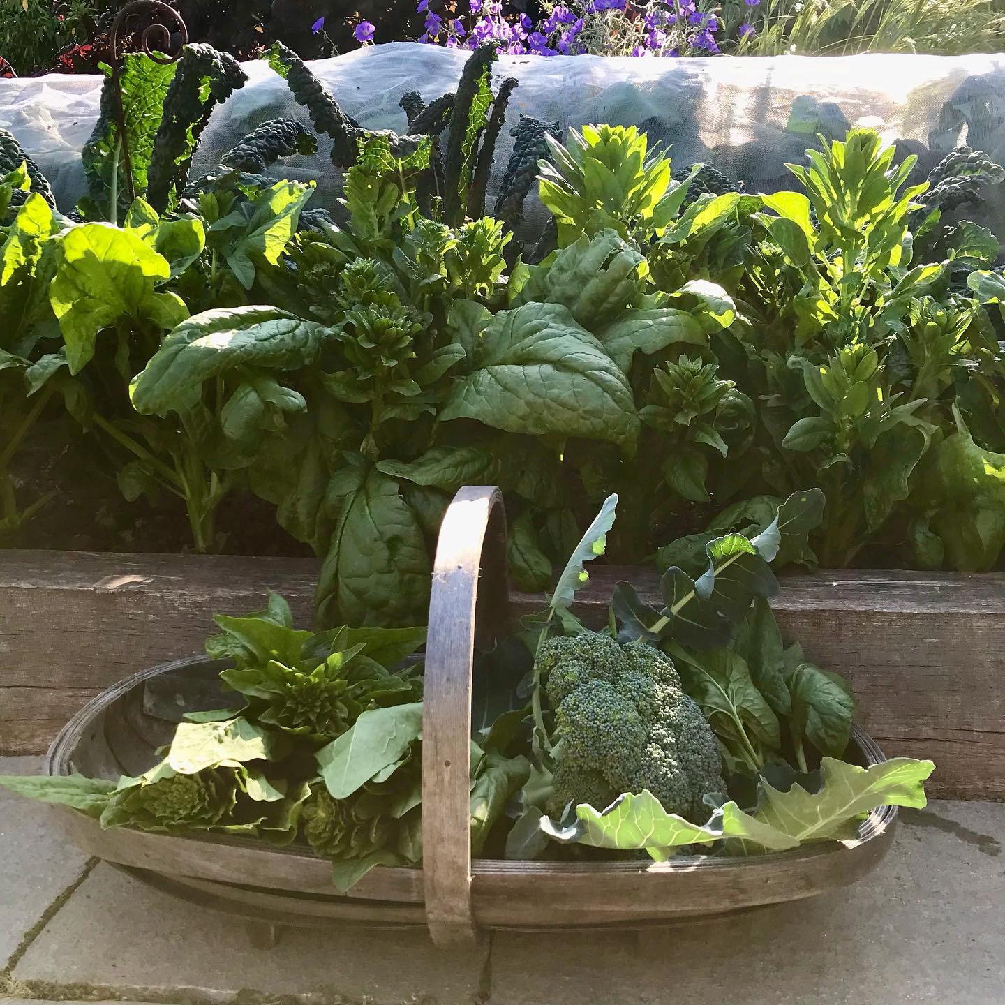 uploads/images/_v_t39.30808 6_294256822_713723429815984_298170321690933765_n