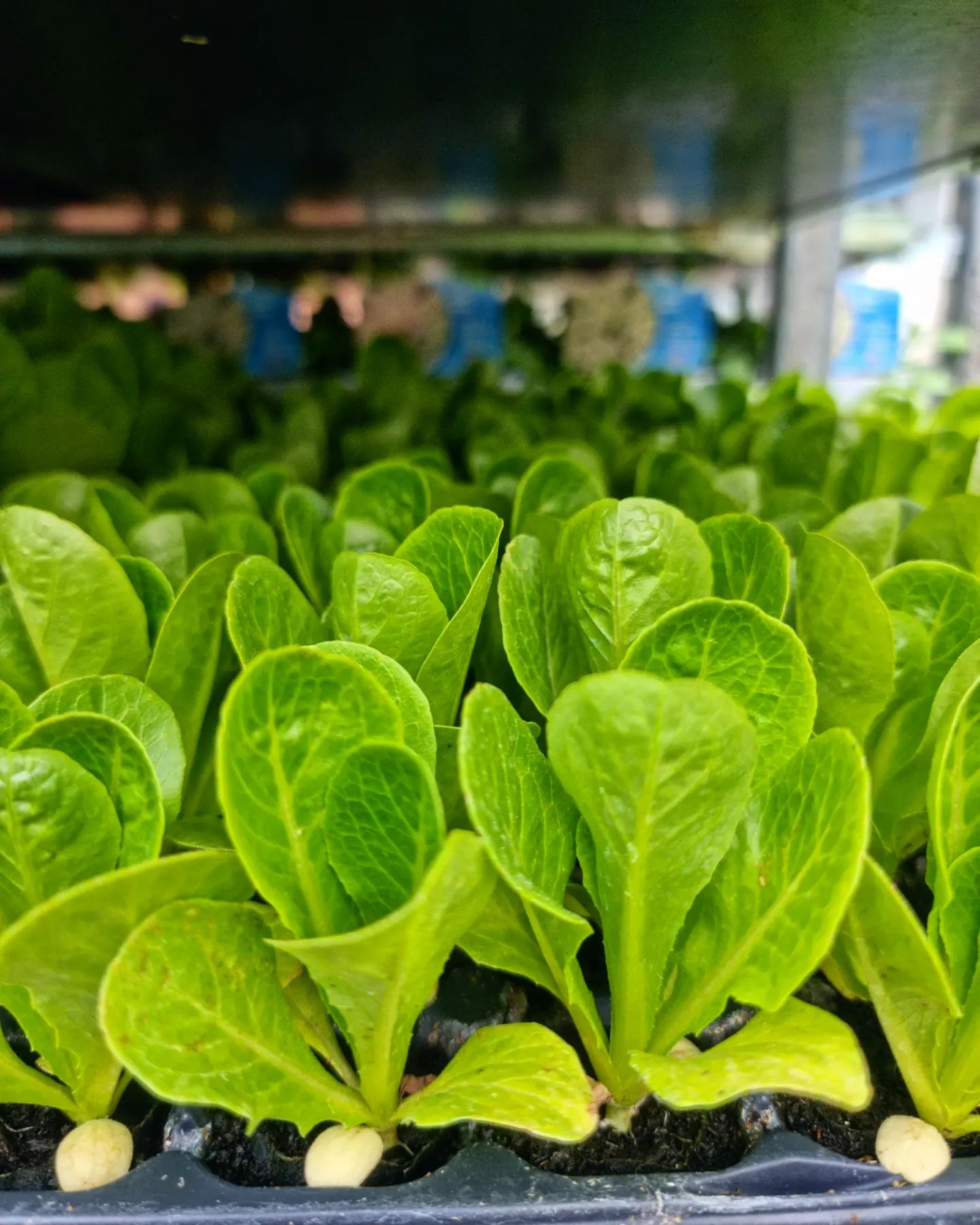 uploads/images/_v_t39.30808 6_302723117_1418621225301256_3374820990132551640_n