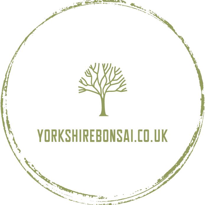 uploads/images/Yorkshire Bonsai