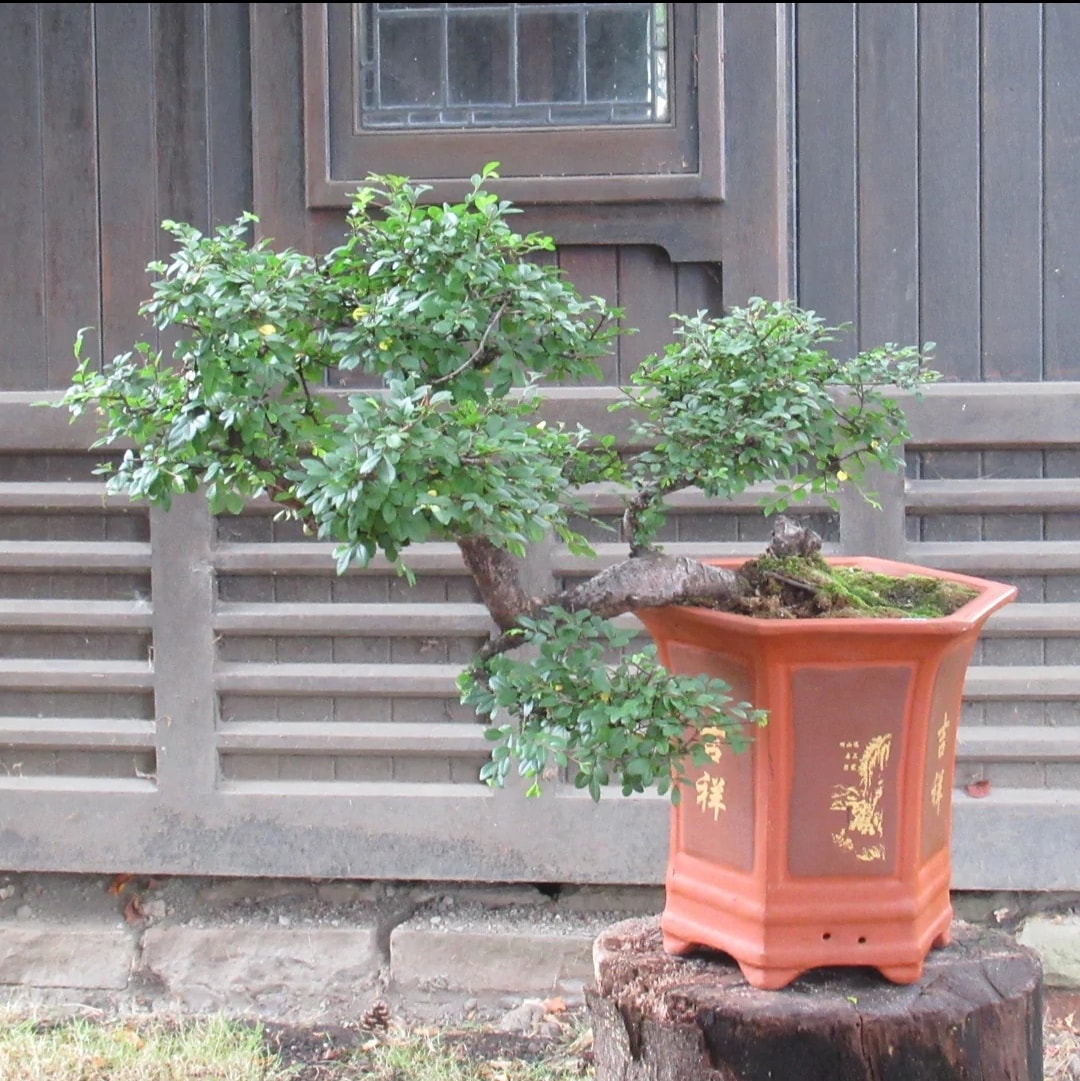 uploads/images/_v_t39.30808 6_307577205_111041315090754_2525210489373688793_n