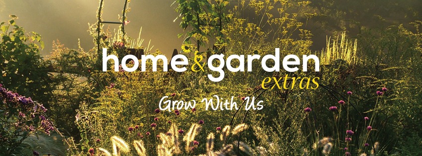 uploads/images/_v_t39.30808 6_314362026_447413567534776_5783750902969855131_n