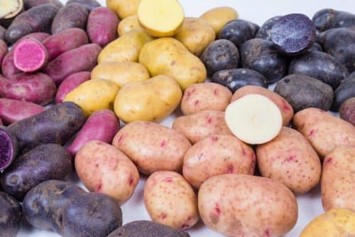 uploads/images/_v_t39.30808 6_332280217_1558772417955594_3078373356139991012_n