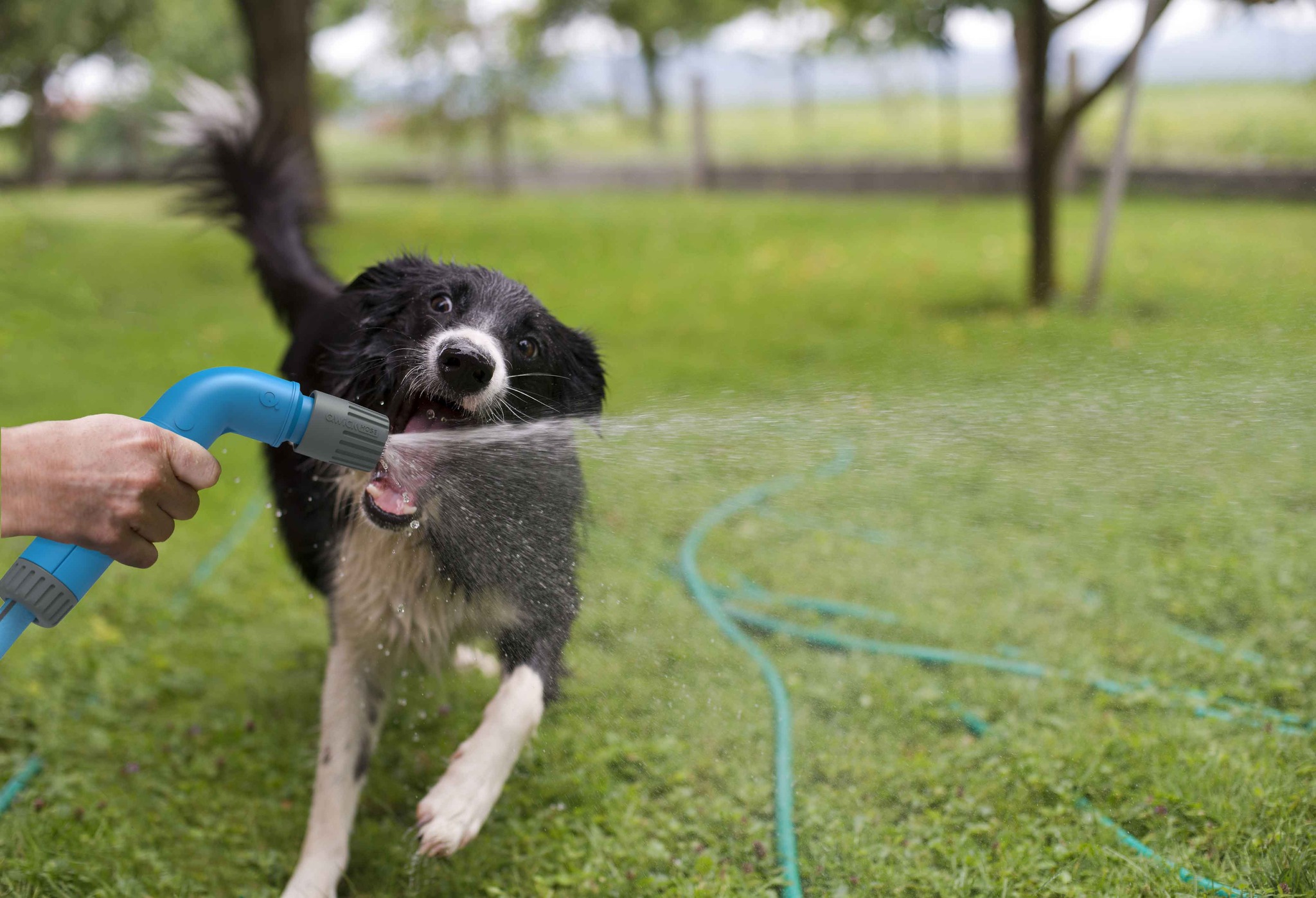 uploads/images/_v_t39.30808 6_335453378_228927853007058_7576969066712595487_n