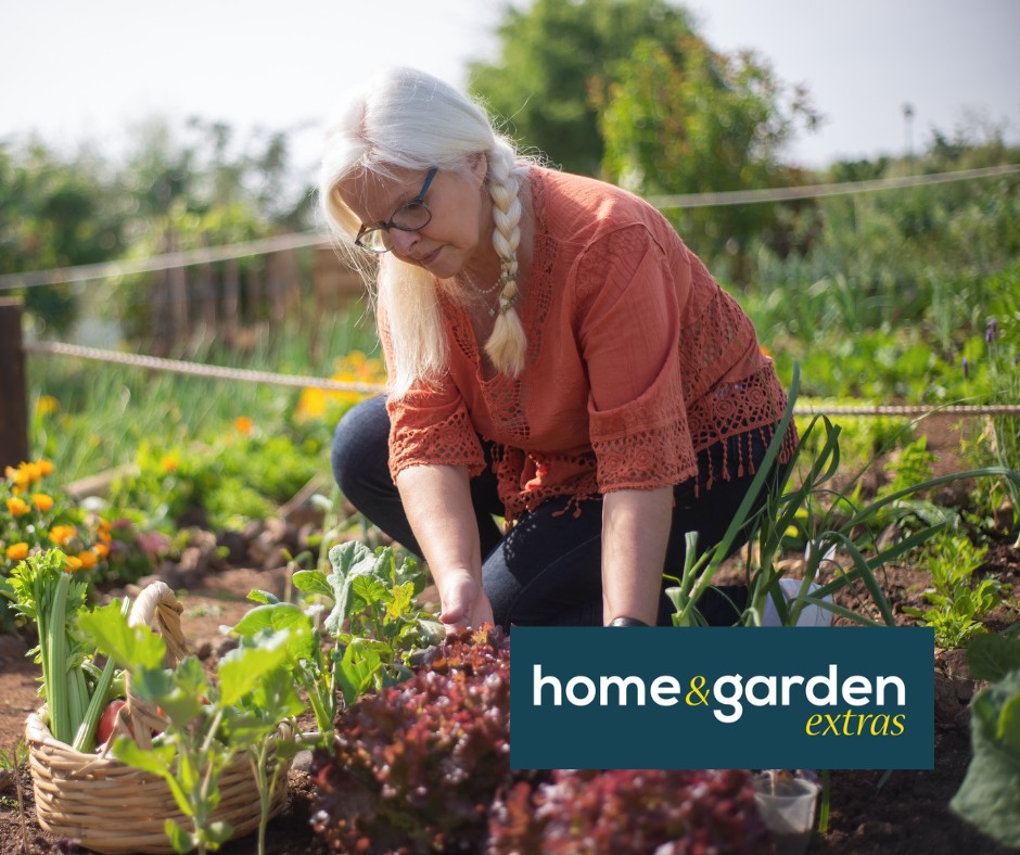 uploads/images/_v_t39.30808 6_336305267_226137039904683_5775818670172918397_n