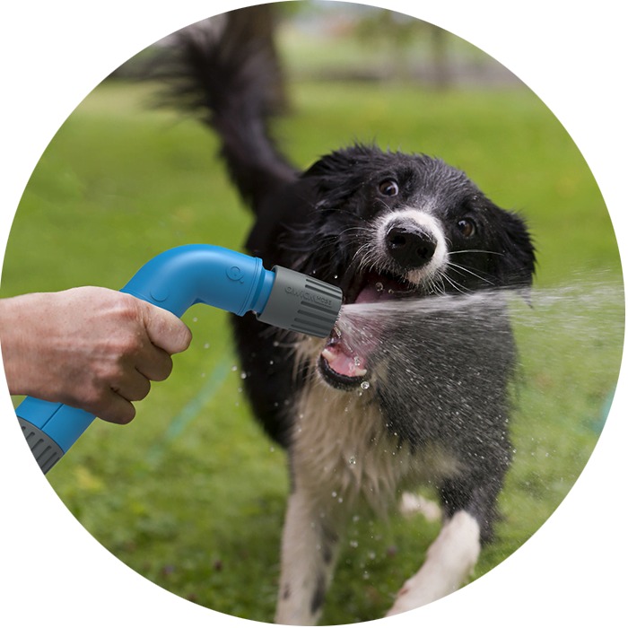 uploads/images/_v_t39.30808 6_342195022_219374187403071_5479327055466970994_n