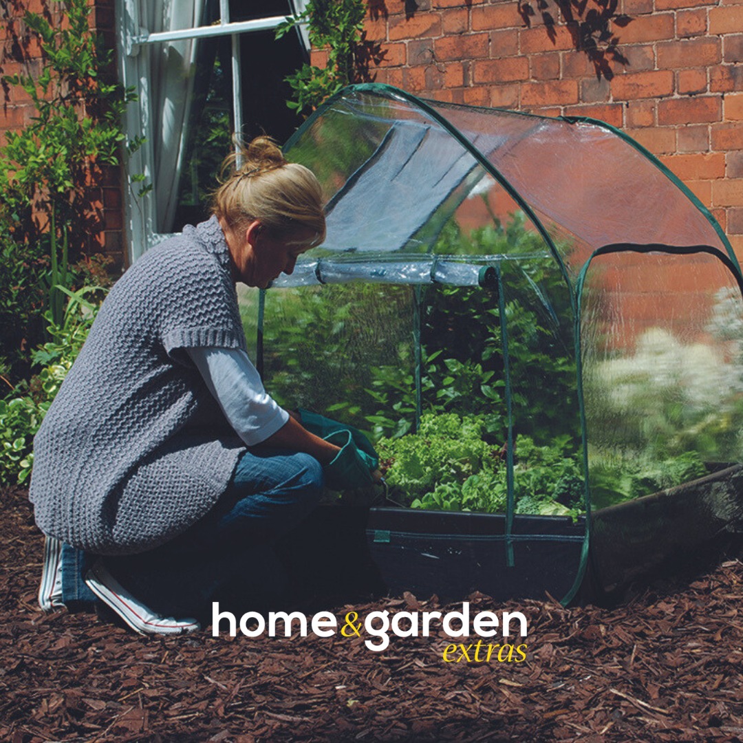 uploads/images/_v_t39.30808 6_348927883_1352807311950018_6589397904651659153_n