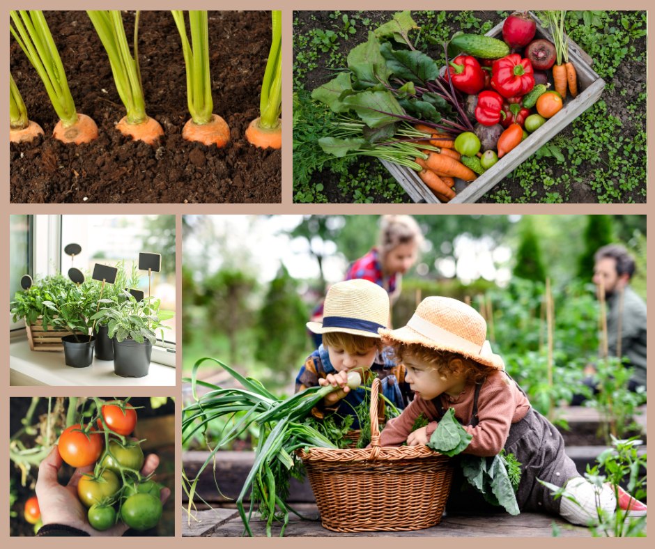 uploads/images/_v_t39.30808 6_433435245_122148922370079751_3172090961745120923_n