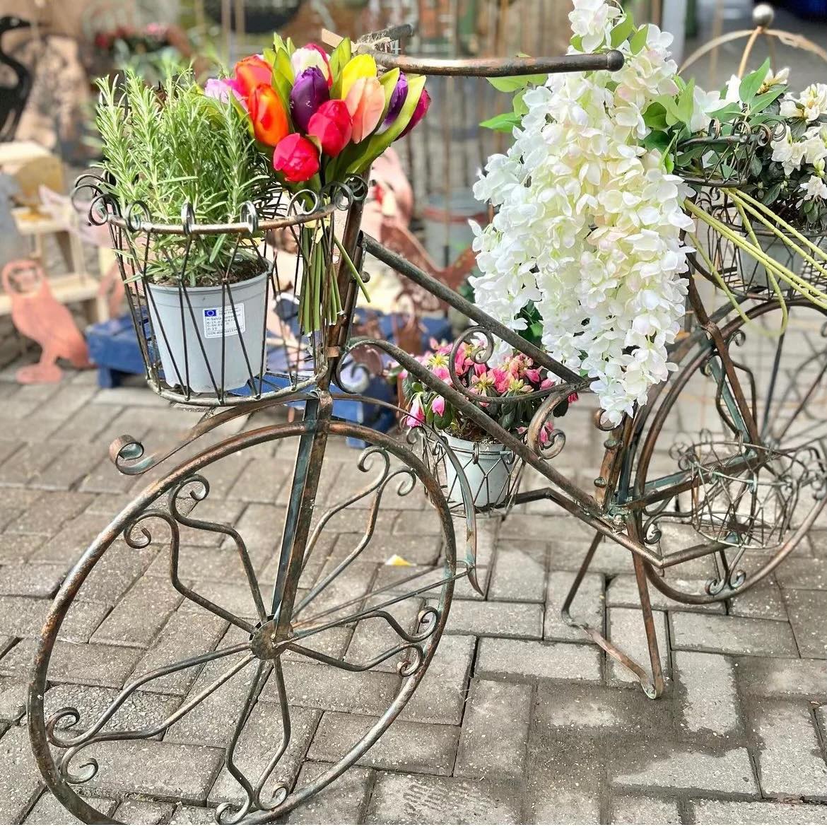 uploads/images/_v_t39.30808 6_433968833_846825794124446_7012476186612354437_n