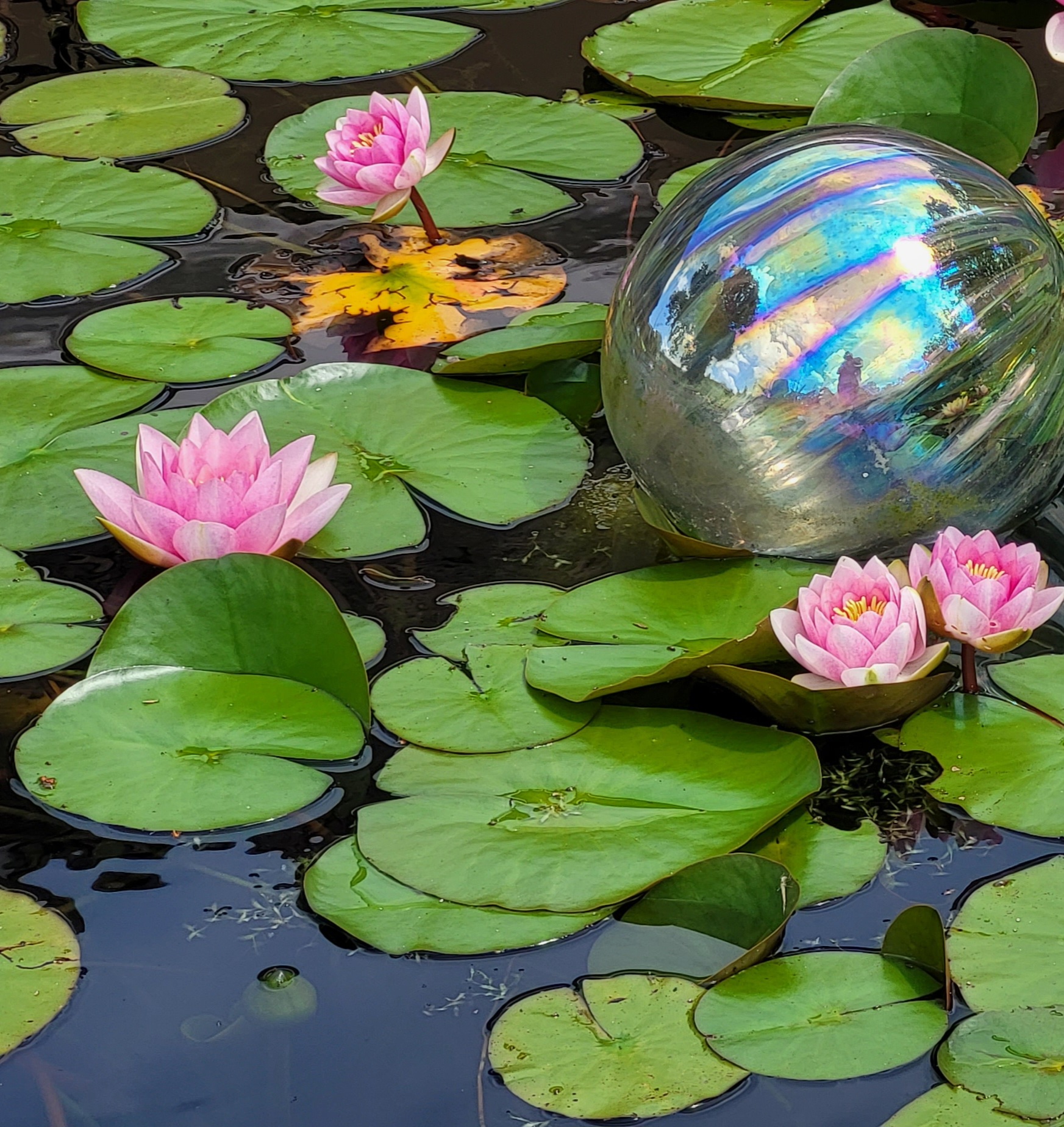 uploads/images/_v_t39.30808 6_442442085_7779228292099662_2144682931744024589_n