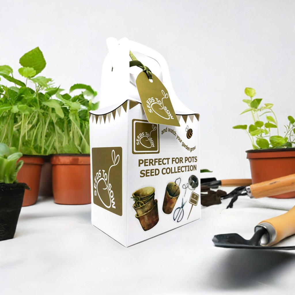 uploads/images/_v_t39.30808 6_457156662_932368765574887_902323496872014911_n