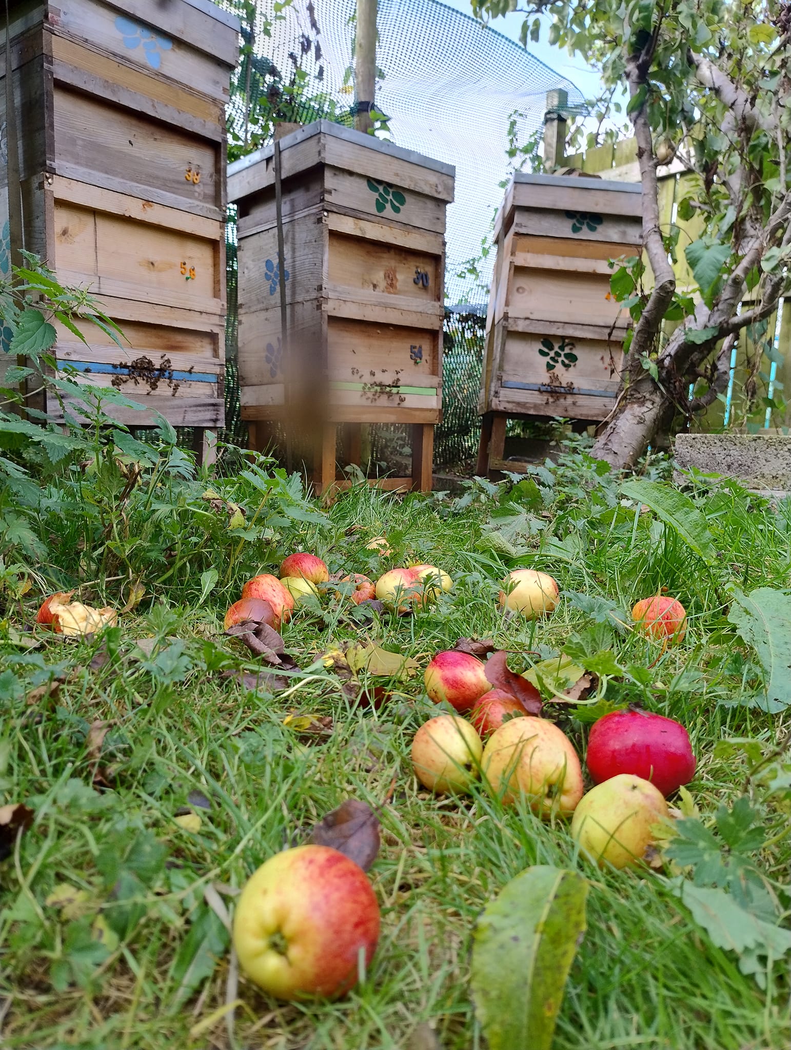 uploads/images/_v_t39.30808 6_460800581_828729479464501_2088678049523395885_n