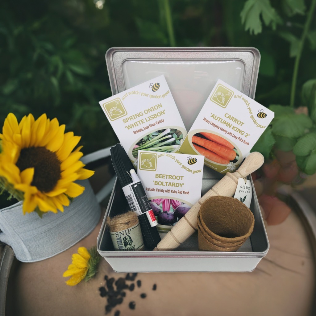 uploads/images/_v_t39.30808 6_462212390_960587969419633_1442488503387660899_n