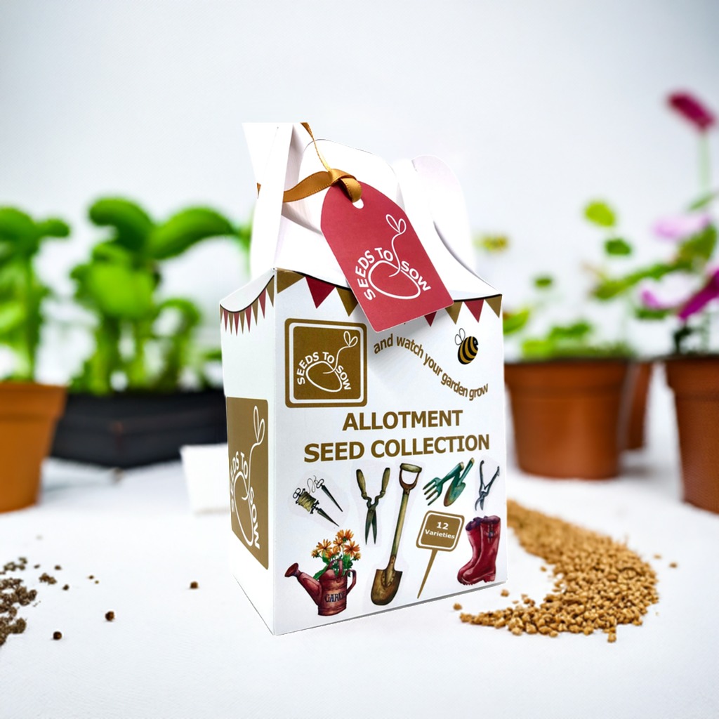 uploads/images/_v_t39.30808 6_463025864_965808915564205_7740805891968864128_n