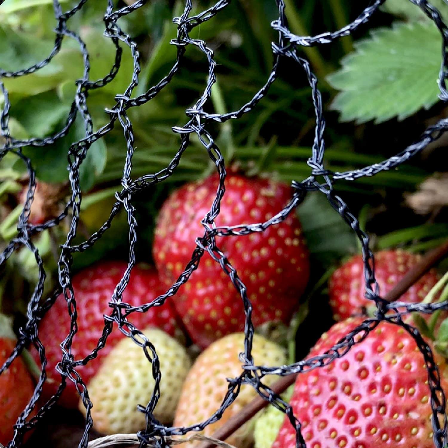 uploads/images/_wp Content_uploads_2018_09_1