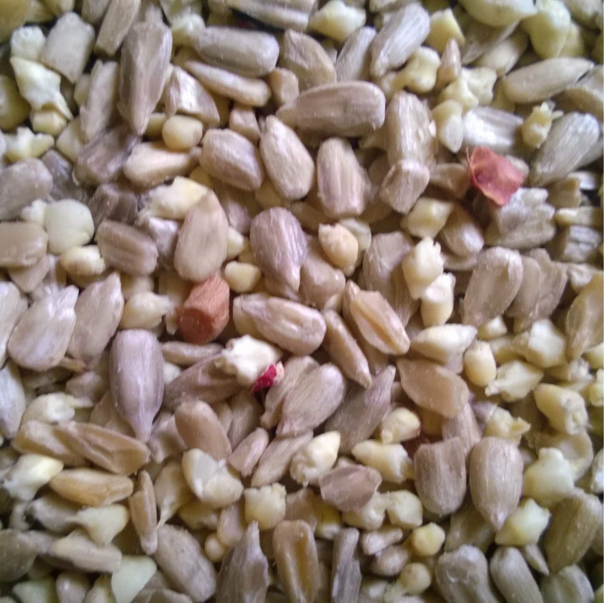 uploads/images/_wp Content_uploads_2019_08_wp_20190801_002 2