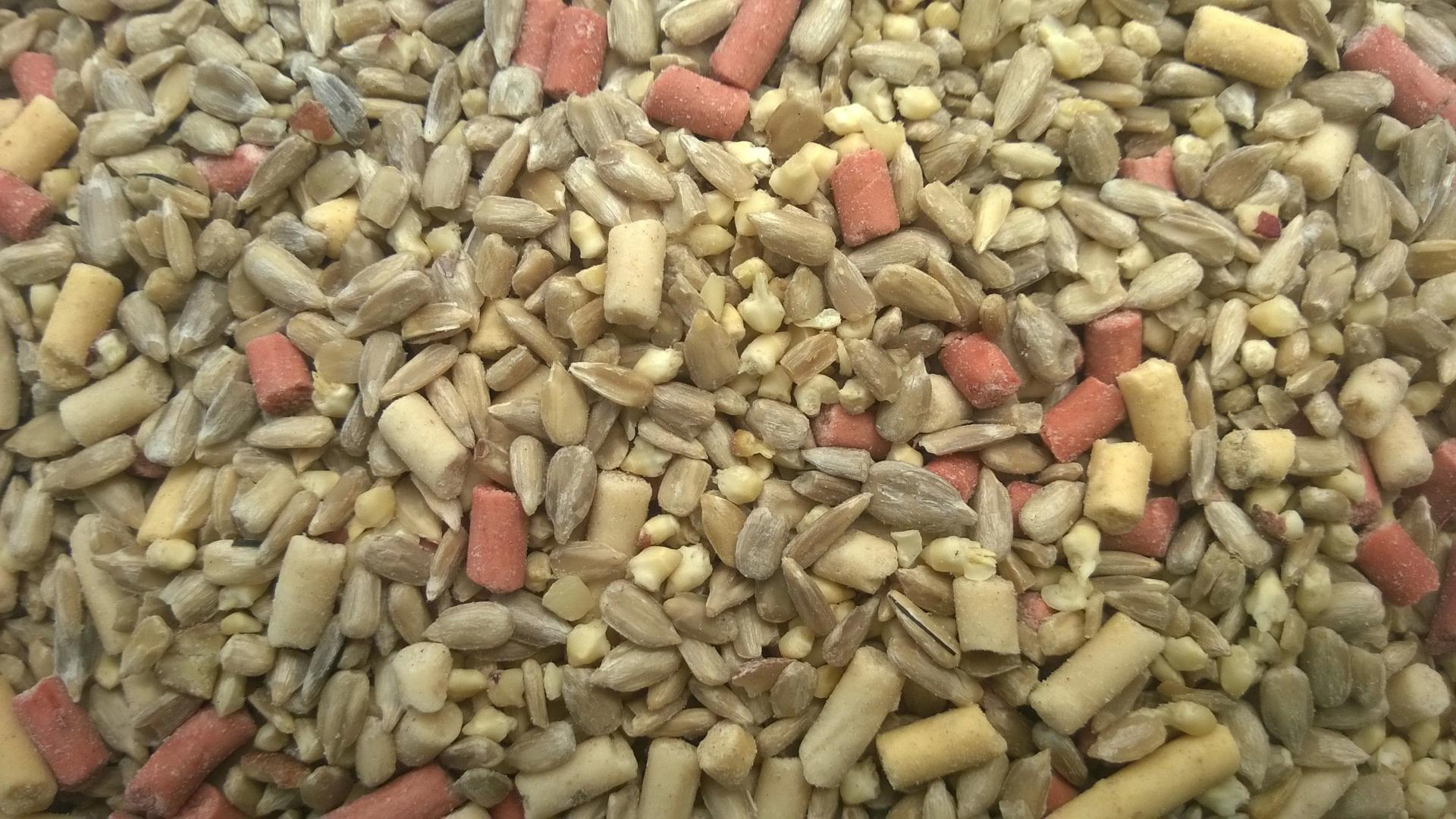 uploads/images/_wp Content_uploads_2019_08_wp_20190806_006